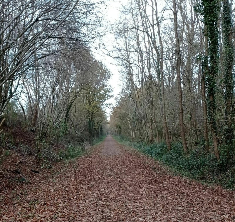 Balade sur la voie verte autour de Terves - Bressuire