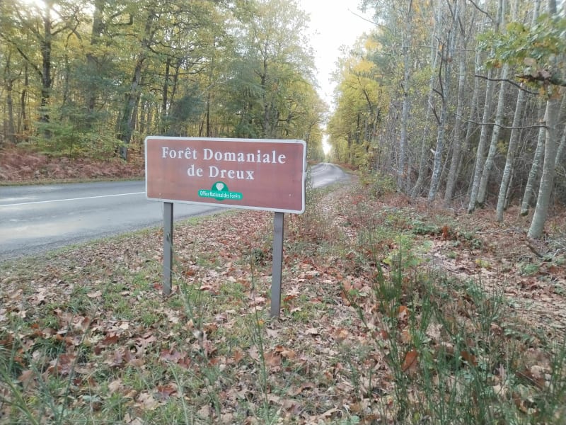 Forêt domaniale de Dreux - Sorel-Moussel