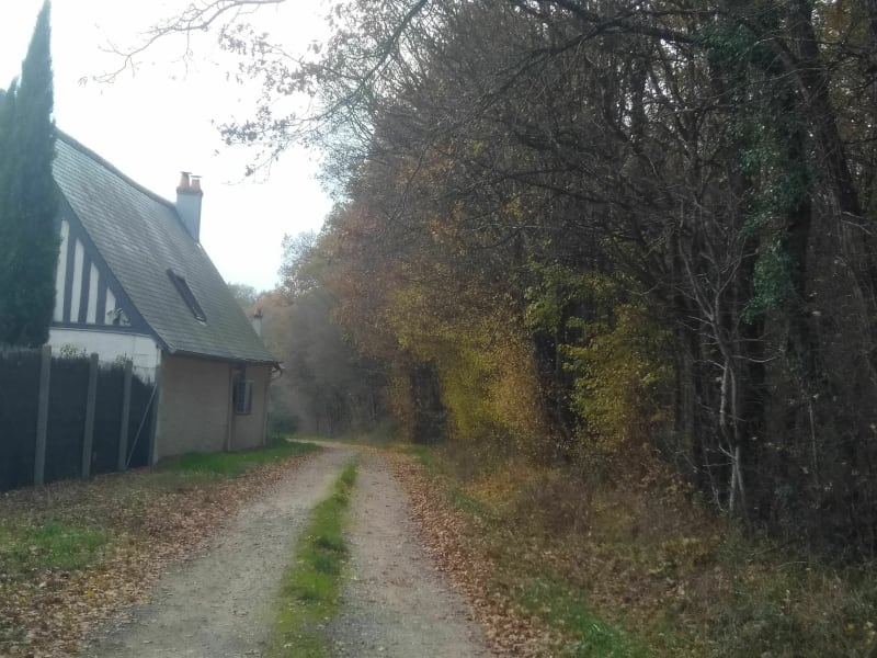 Balade dans la Membrolle sur Choisille - La Membrolle-sur-Choisille