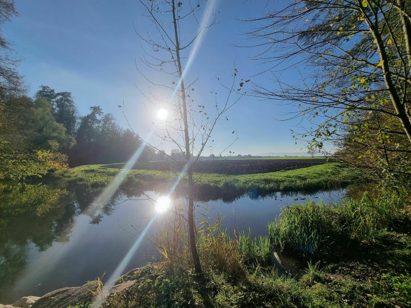Entre forêt et passerelles de Fegersheim à Hipsheim - Fegersheim