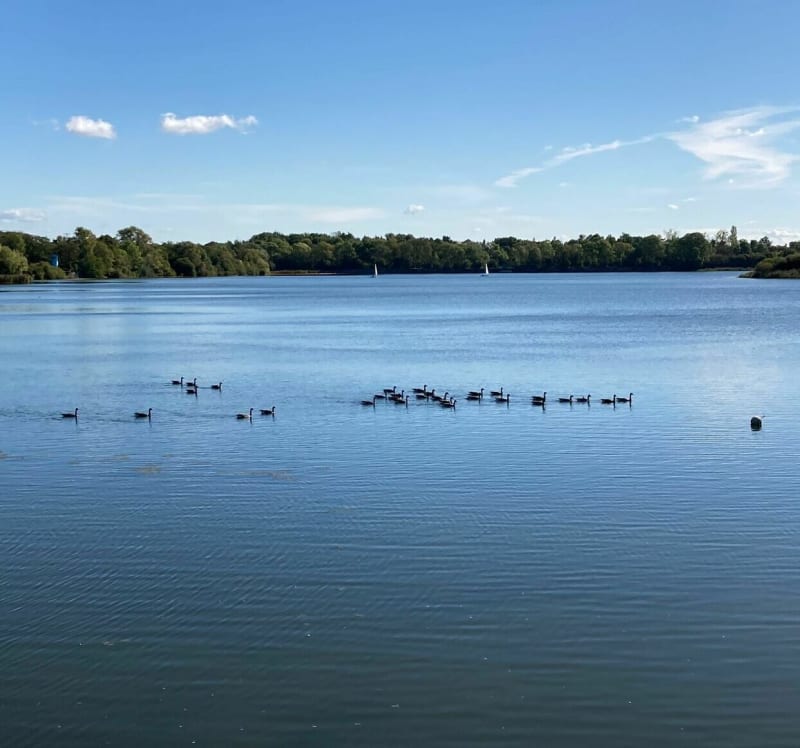 Comptoir du thé au promontoire des Etangs de Saclay à vélo - Voisins-le-Bretonneux