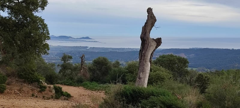 Randonnée proche camping la Bergerie - Roquebrune sur Argens