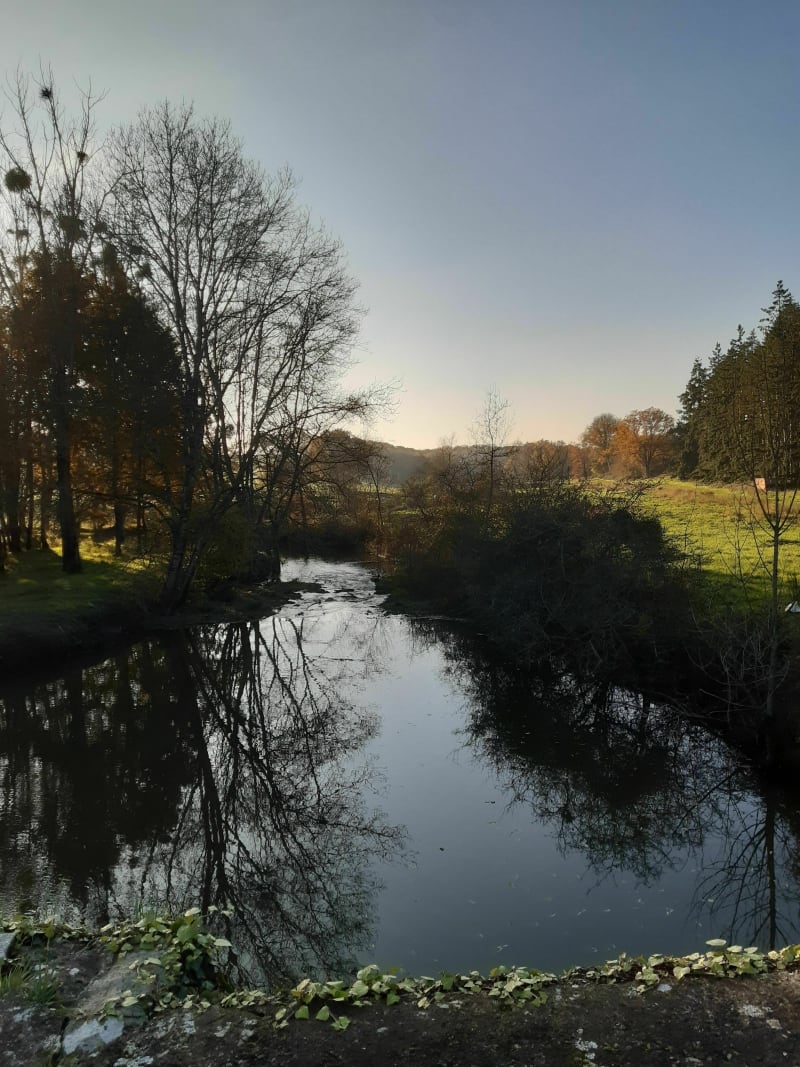 Balade entre L'Erdre et forêt - Vallons-de-L'Erdre