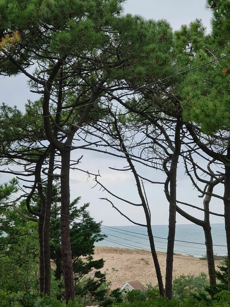 À la découverte de Lacanau Océan - Lacanau