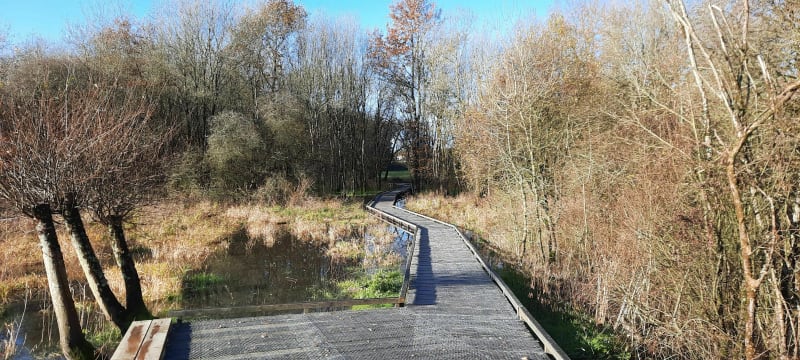Rando vers Roche Ballue et Bac Indret - La Montagne