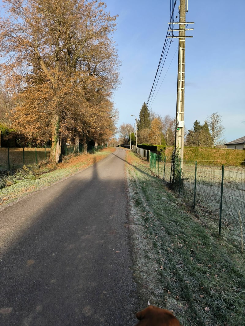 Petite balade à 2 pat des citées de Beaubreuil - Limoges