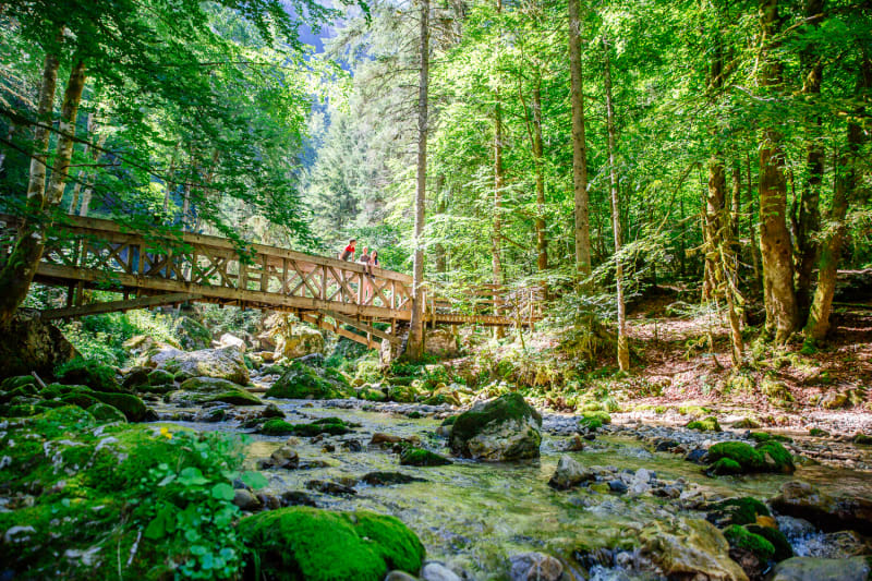 De St Pierre d'Entremont à la cascade du Cirque de St Même - Saint-Pierre-d'Entremont
