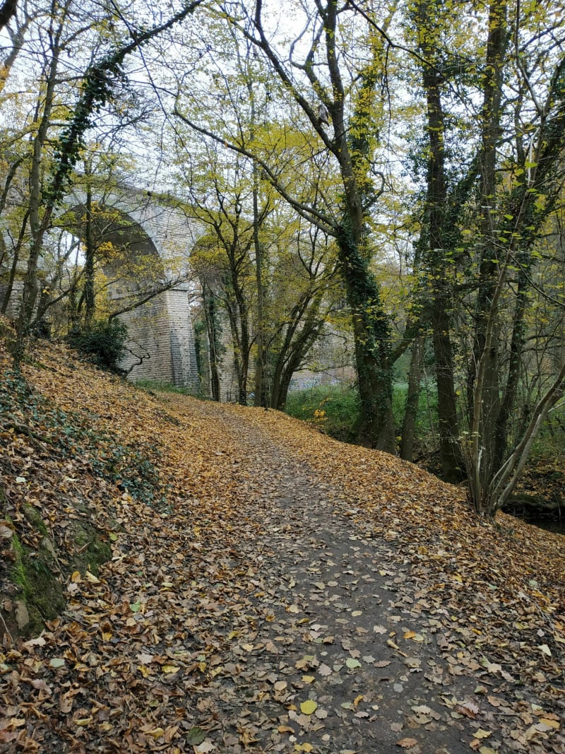 De Saint-Blaise au Bois de Serre, le long du Ruisseau des Planches - Écully