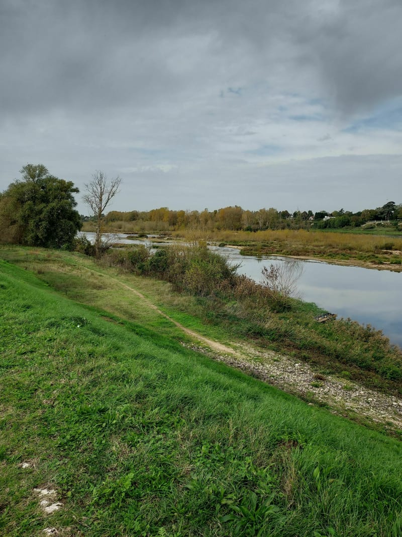 De La Ferte Saint Aubin à Orléans en musardant. - La Ferté Saint Aubin