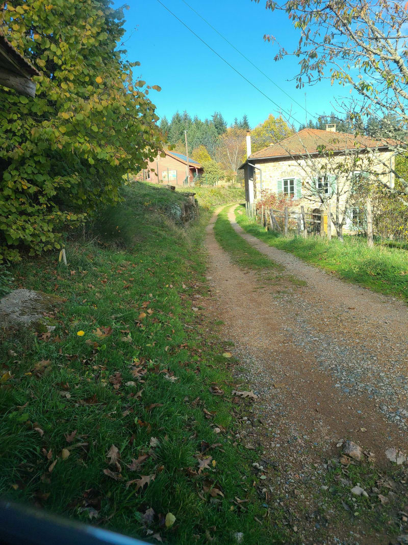 Marche au Grands Murcins - Saint-André-d'Apchon