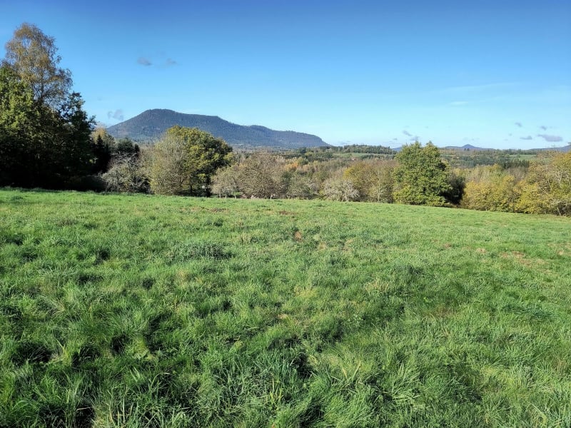 Tour du Kemberg par Lecoanet - Saulcy-sur-Meurthe