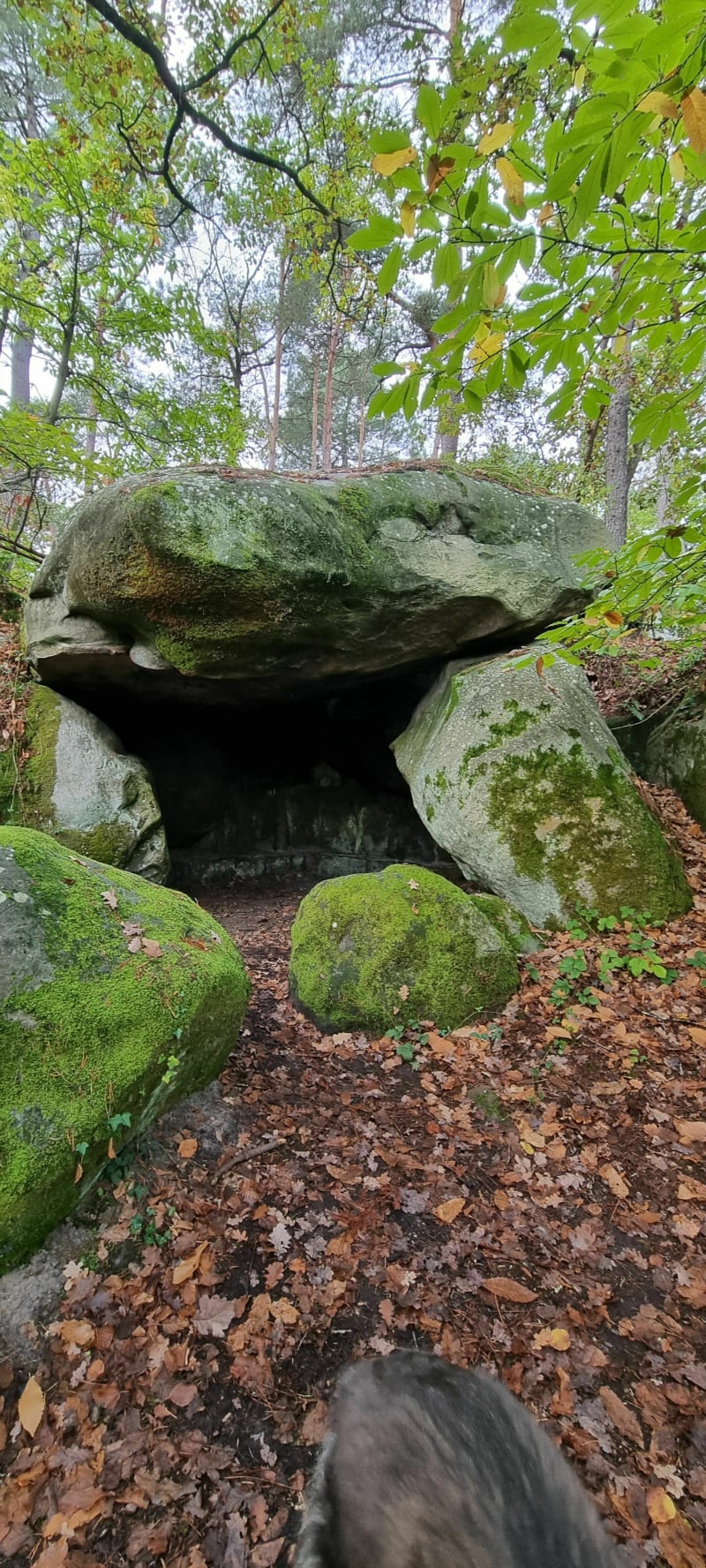 Grotte de la biche blanche - Fontainebleau