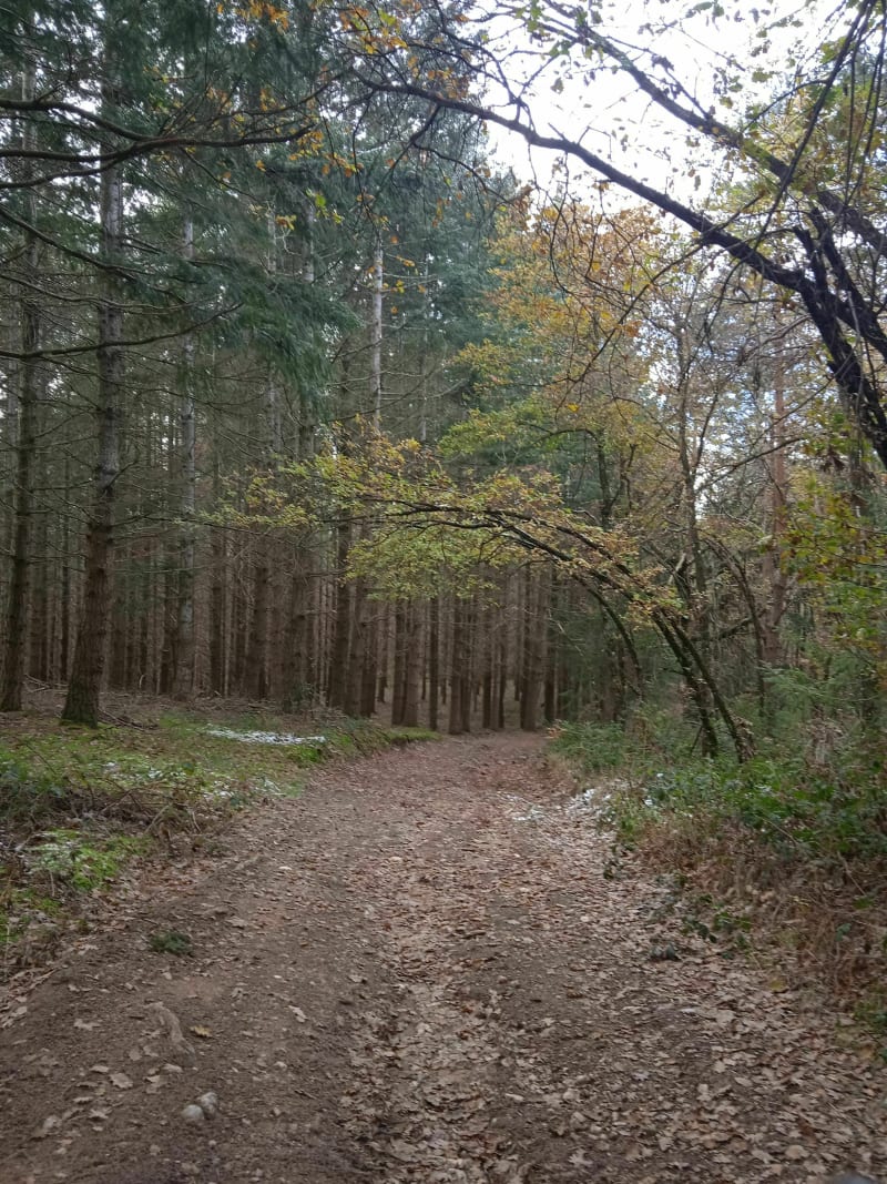 Petite balade à lieu dit Bavat - Saint-Arcons-d'Allier