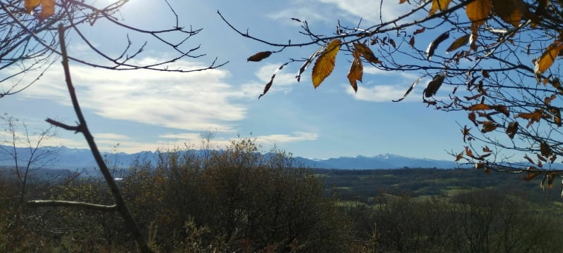 Sur les hauteurs d'Arbus - Arbus