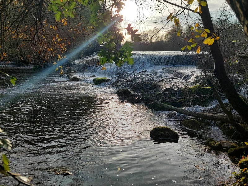 Balade à la Filature au Fil de de l'eau - Ligugé