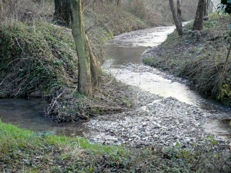 De Massieux à Genay par Montriblou et les Torrières - Massieux