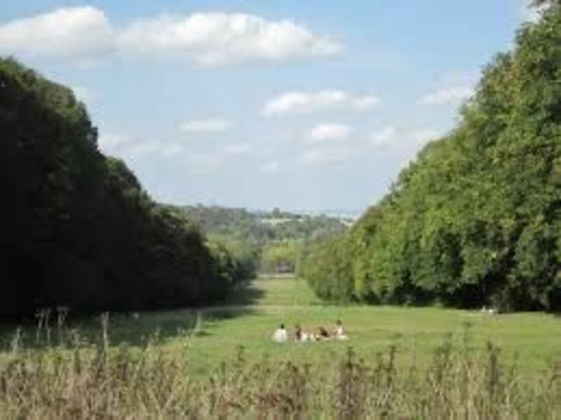 Virée en forêt et ville de Meudon et passage aux étangs - Issy-les-Moulineaux