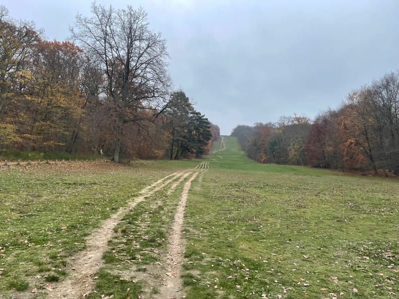 Balade autour des Beaux-Monts - Compiègne