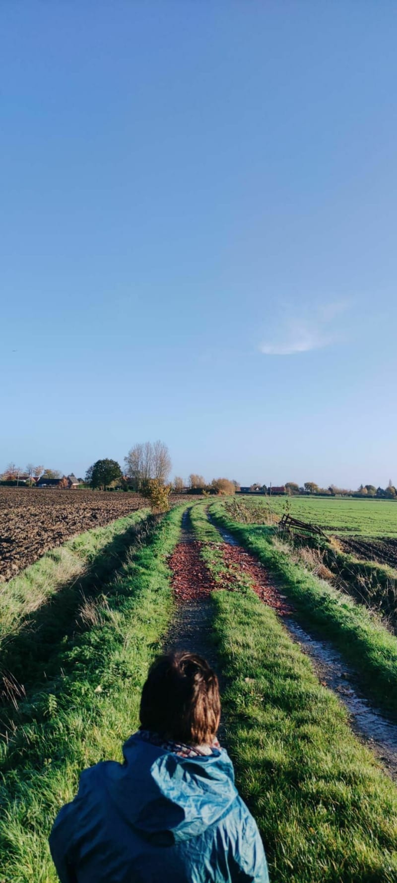 Autour de Godewaersvelde - Godewaersvelde
