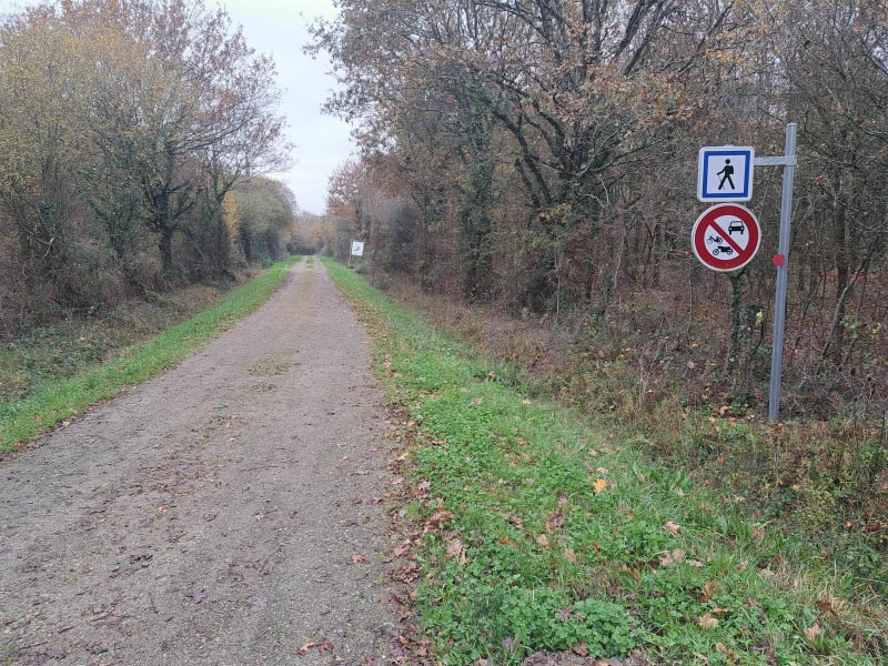 Belle balade à côté de la Garnache - La Garnache