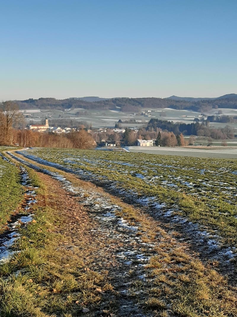 Balade forestière pour une belle vue sur La Baffe - La Baffe