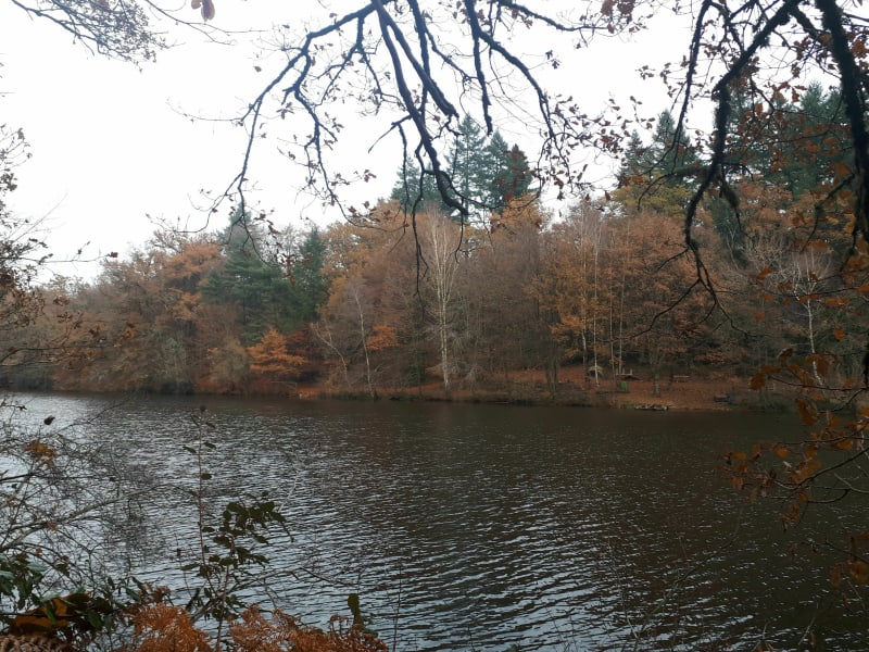 Les monts et l'étang de Puy Boursaud - Saint-Gence