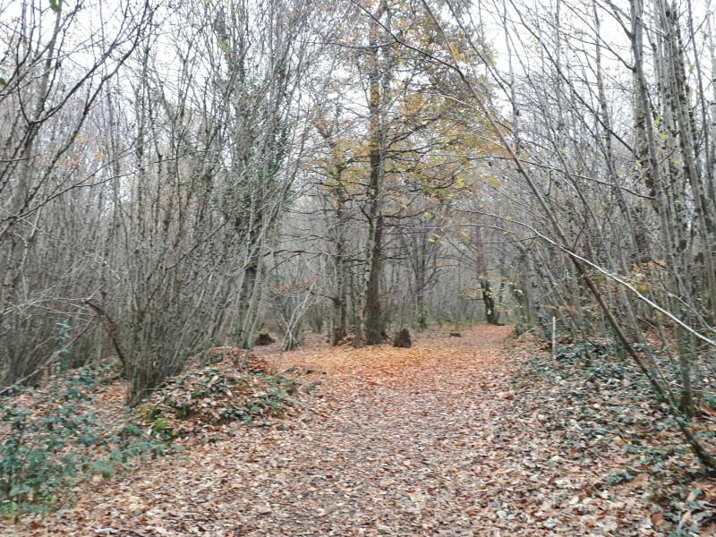 Le sentier de la Vierge à Condat - Condat-sur-Vienne