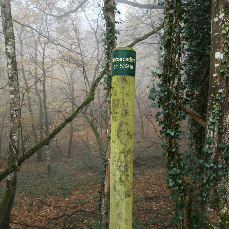 Croix de Bramafan belle rando en sous bois. - Saint-Sorlin-en-Bugey