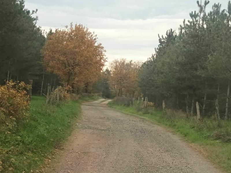 Belle balade avec 80 % de chemin - Beaulon