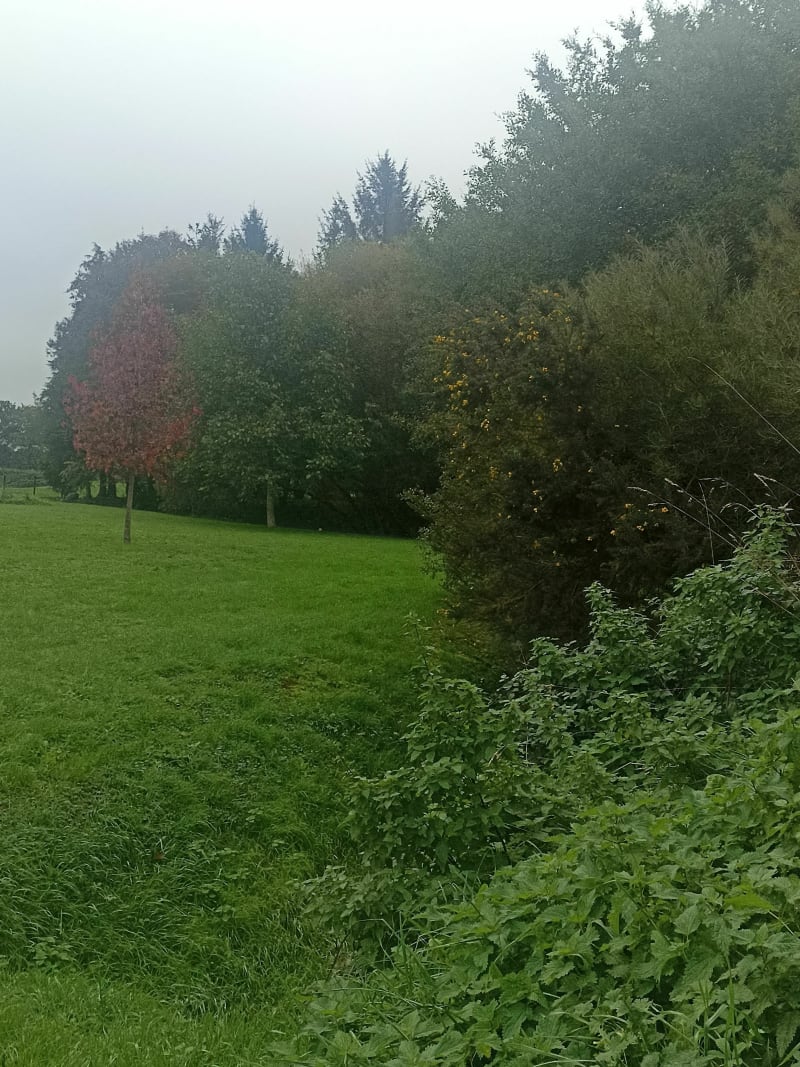 Balade VTT au cœur du Val d'Ille - Montreuil-sur-Ille