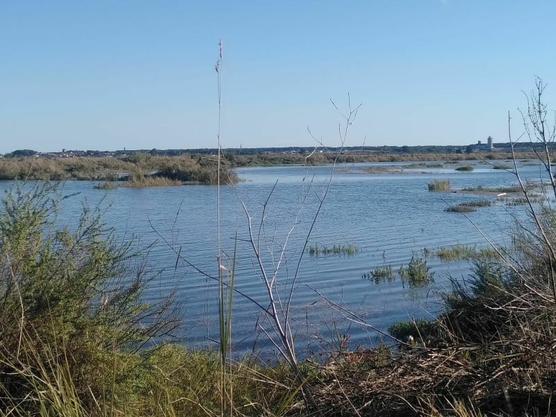 Marennes Lindron - Marennes-Hiers-Brouage