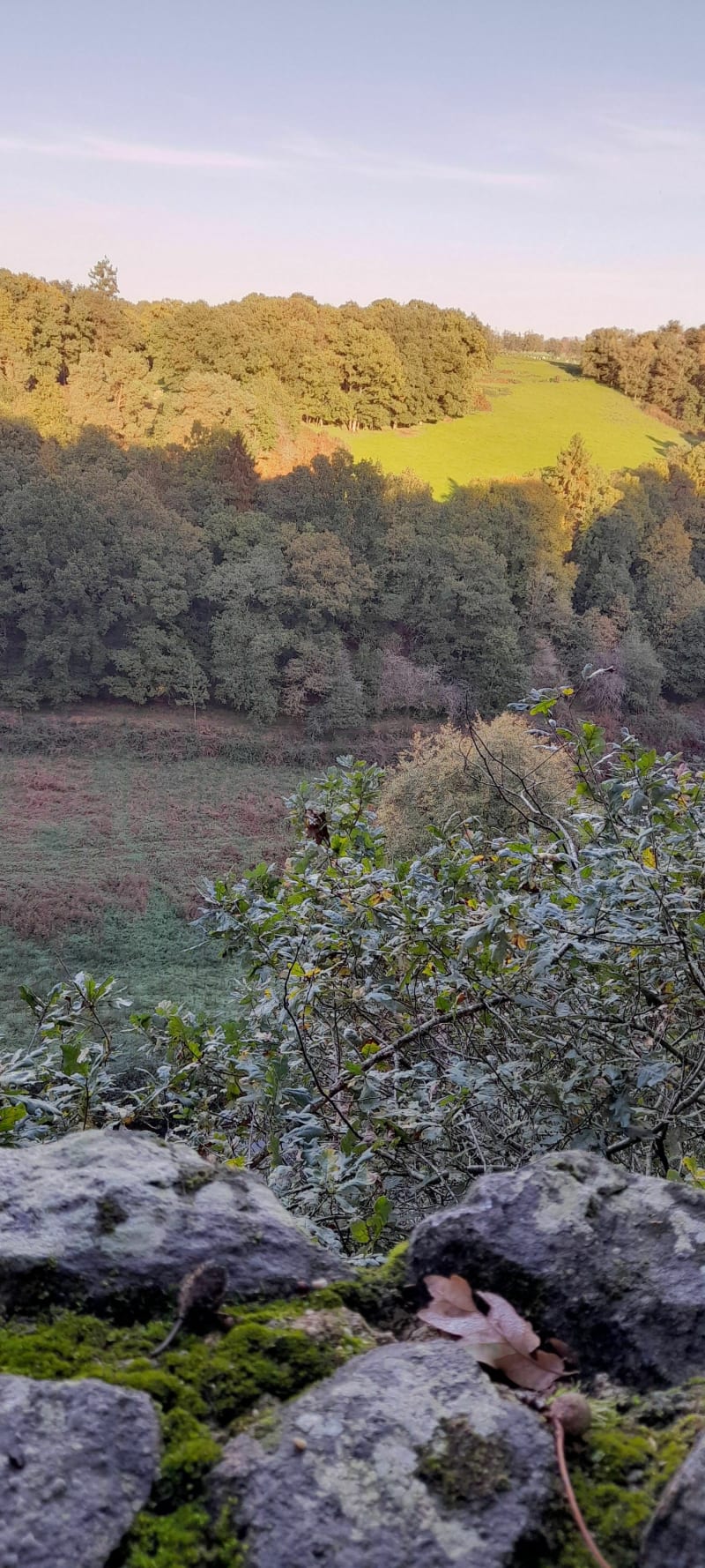 Vallée du Couesnon - Mézières-sur-Couesnon