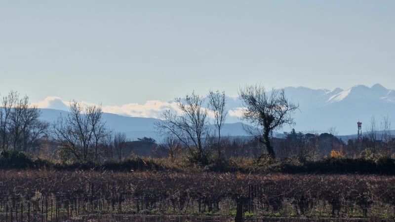 Coursan Vinassan - Fleury
