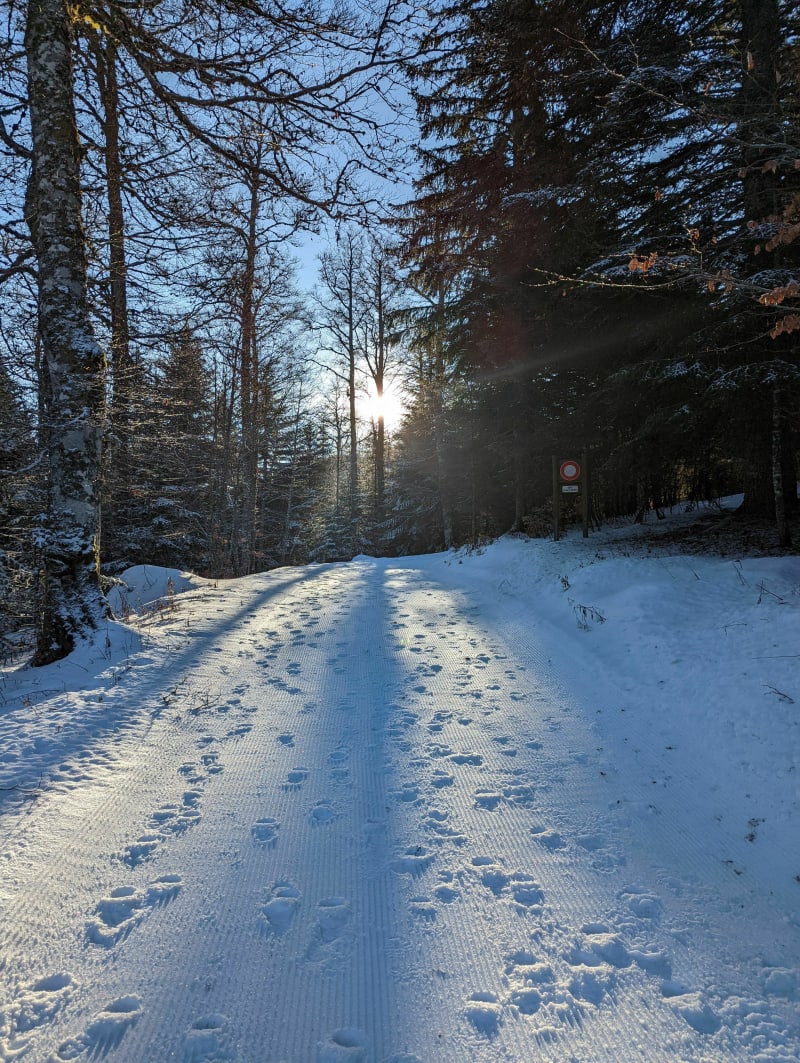 De Gagères, op de top van de Urle met sneeuwschoenen - Bouvante