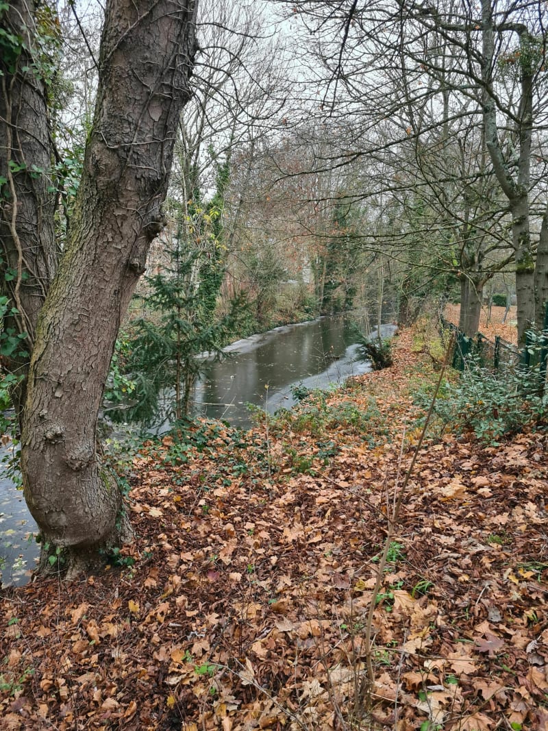 Les bords de l'Yerres et le Parc Caillebotte - Crosne