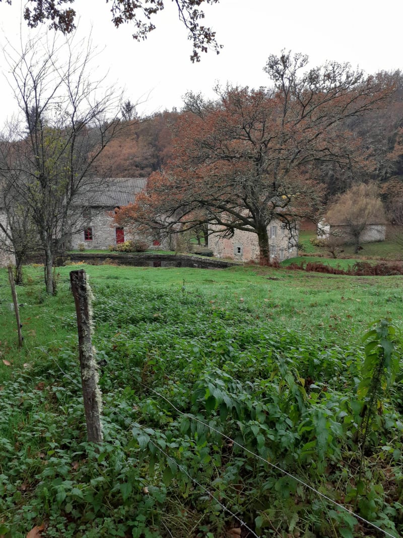 Randonnée du Téléthon - Le Palais-sur-Vienne