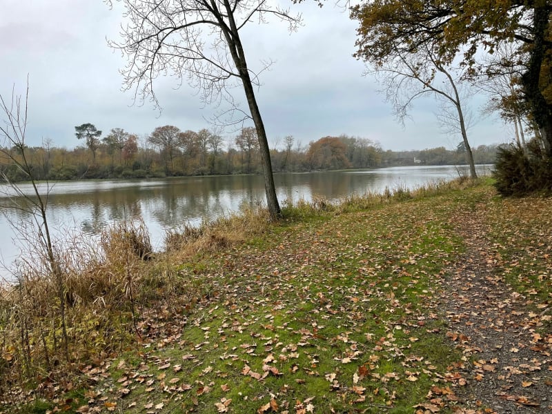 Balade autour de la Thévinière - Beaupréau-en-Mauges