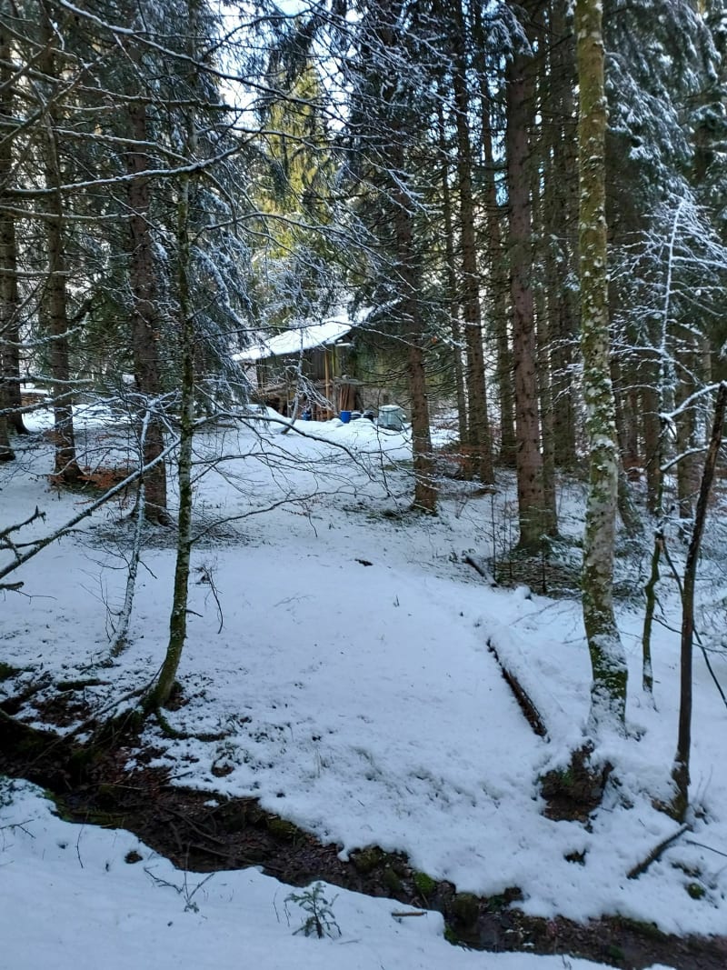 Balade à pied ou à raquettes sur le plateau des Esserts - Morillon