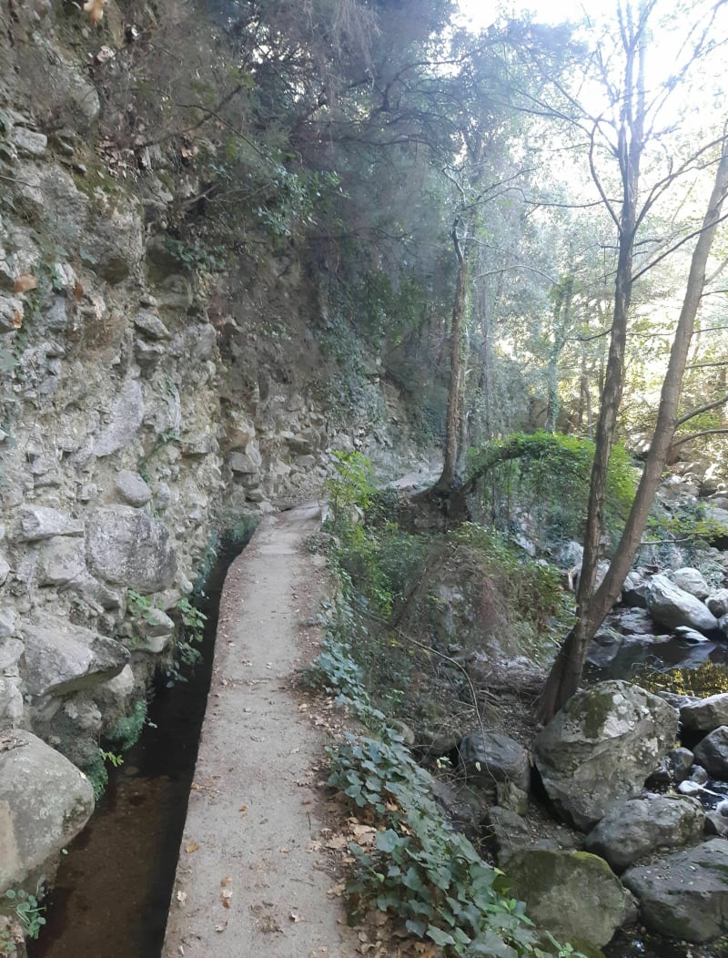 Au fil de l'eau de Laroque-des-Albères - Laroque-des-Albères