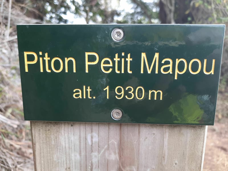 Piton Petit Mapou - Saint-Louis