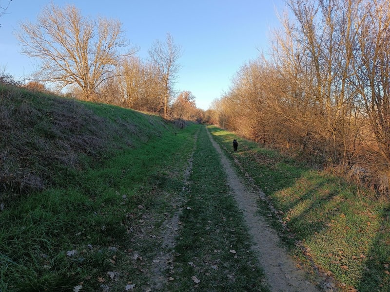 Le long du Gers en bordure d'Auch - Auch