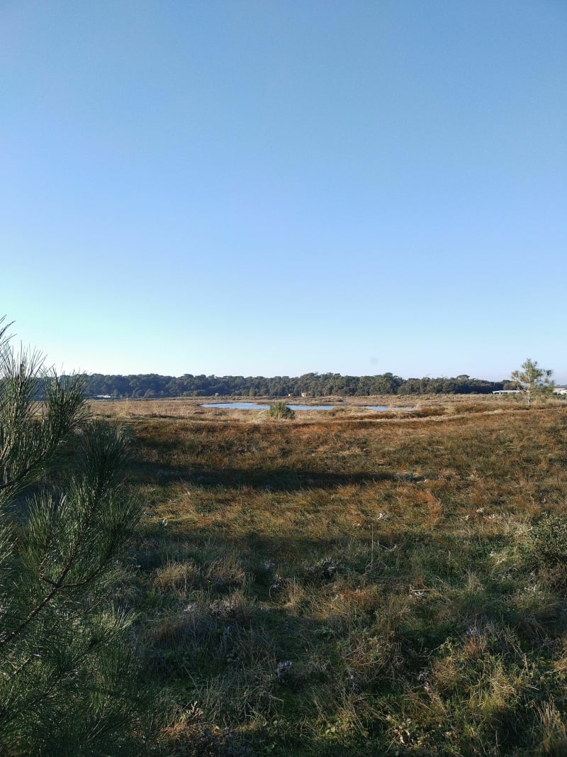 Promenade familiale, la Guittière et le chemin des dunes - Talmont-Saint-Hilaire