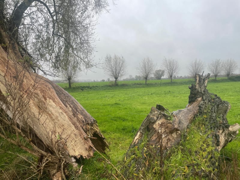 Balade en Campagne de Linselles et Bondues - Linselles