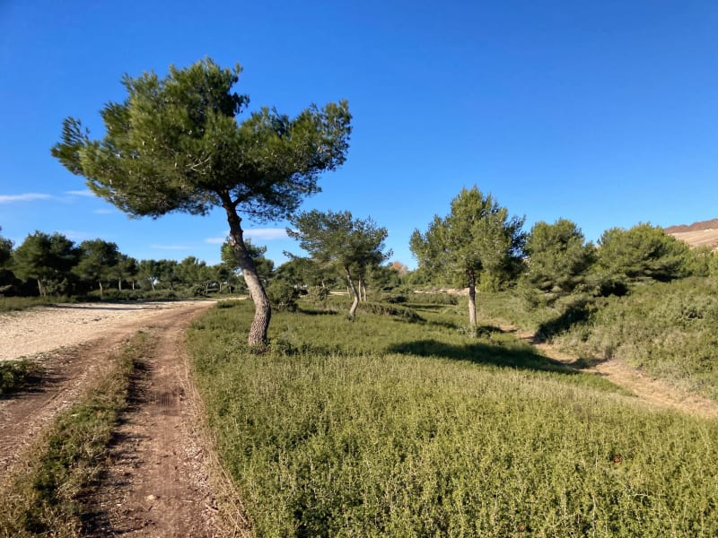 Trail en colline de l'Estaque - Châteauneuf-les-Martigues