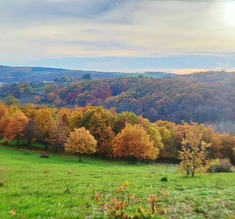 La Teppe de La Boucherette à Collongette - Lugny