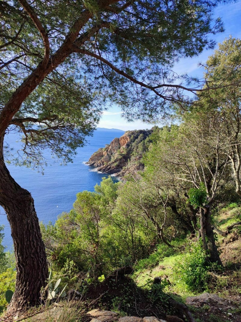 Du hameau du Dattier au Rayol - Cavalaire-sur-Mer