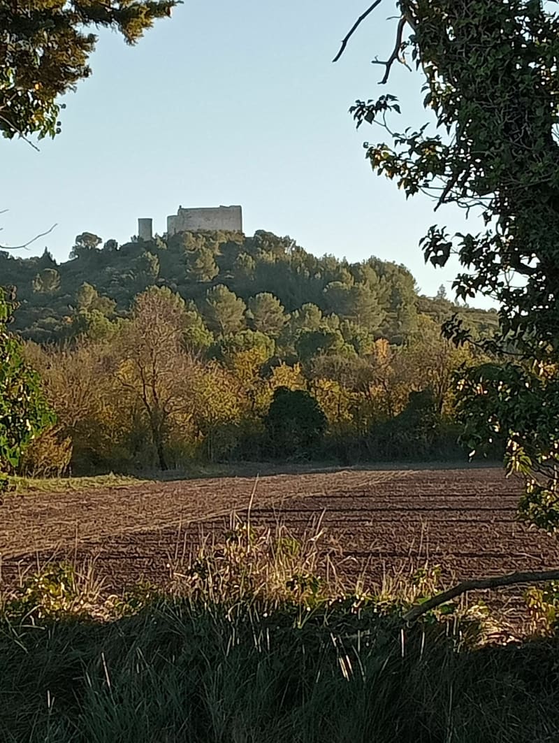 De Velleron à Châteauneuf de Gadagne en boucle - Velleron