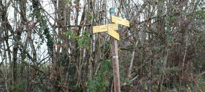 Promenade par le chemin de Chonou - Parmilieu