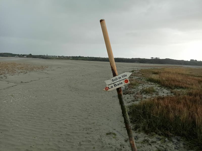 Traversée de la réserve ornithologique de la baie de Saint-Brieuc - Langueux