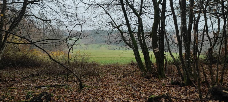 Boucle depuis Osenbach - Osenbach
